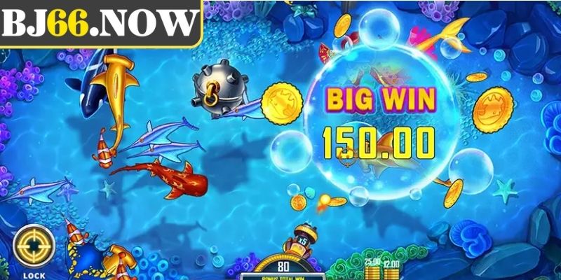 Lưu ý quan trọng khi chơi đại hải trình