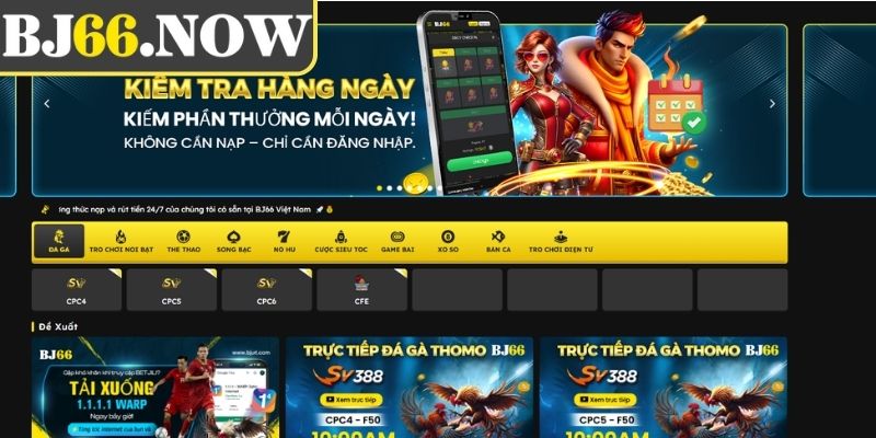 Một vài lỗi hay gặp mà người mới cần chú ý 