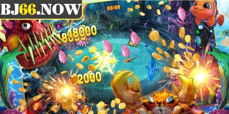 Giới thiệu về King of the Sky BJ66