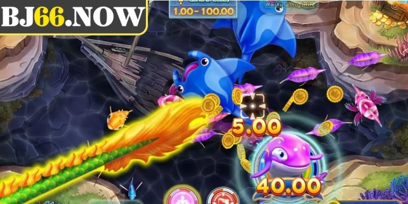 Hướng dẫn chơi king of the sky cho người mới