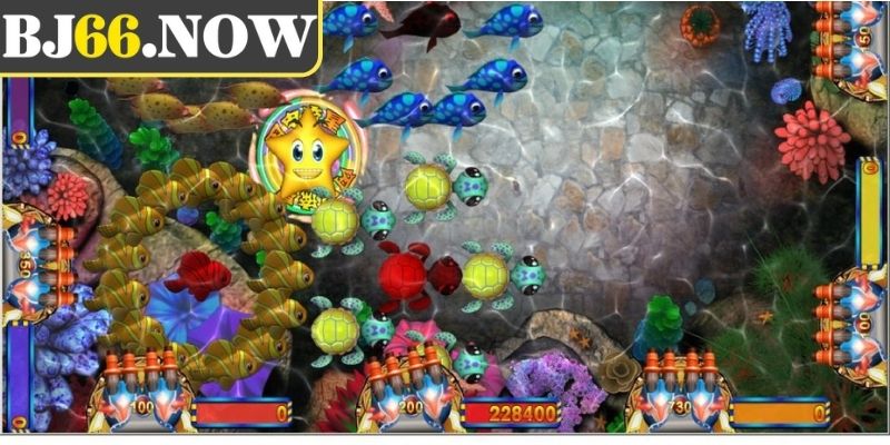 Các bước chơi mèo bắt cá chi tiết cho anh em