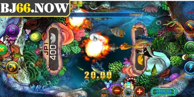 Chiến thuật bách chiến bách thắng mèo bắt sinh vật